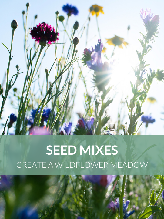 Wildflower Mix