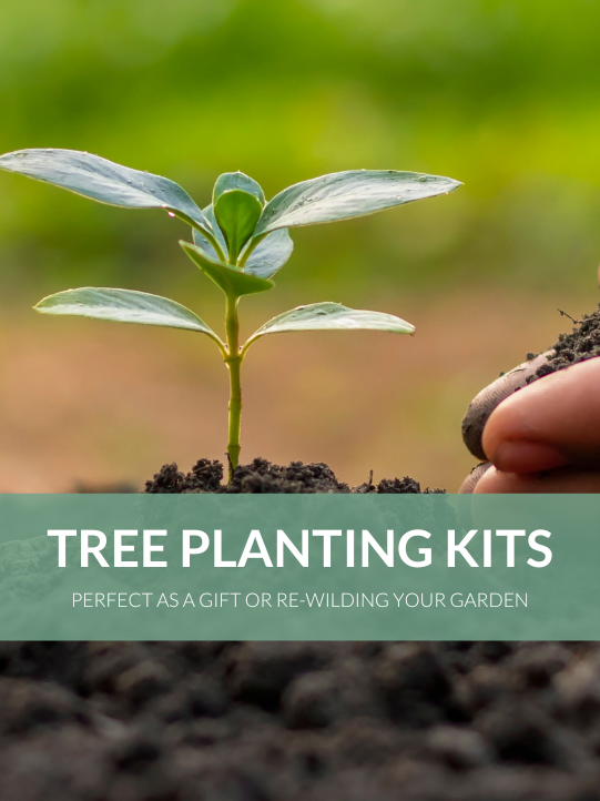 Tree Planting Kits